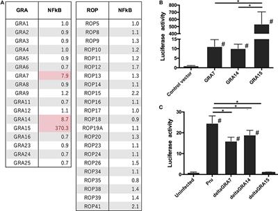 Toxoplasma gondii Dense Granule Proteins 7, 14, and 15 Are Involved in Modification and Control of the Immune Response Mediated via NF-κB Pathway